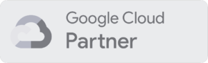 google could partner